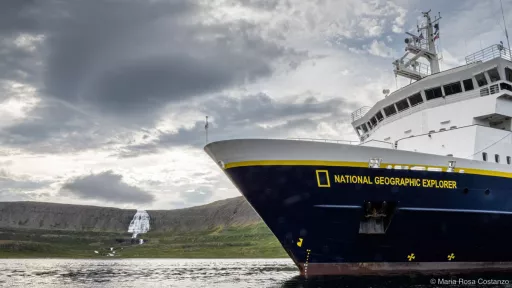 Cruise ship near a rugged coastline under a cloudy sky.