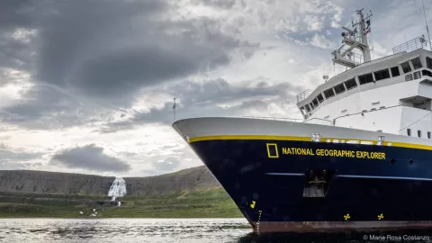 Cruise ship near a rugged coastline under a cloudy sky.
